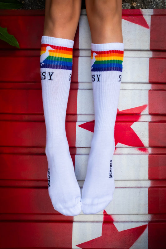 Pride Socken