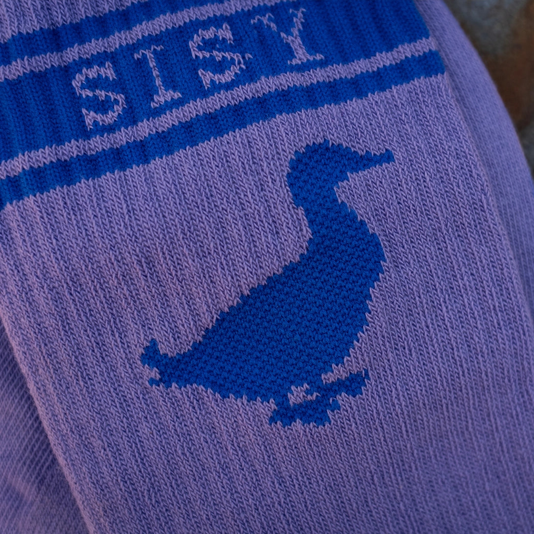 Sportsocke SISY Violet / Blue